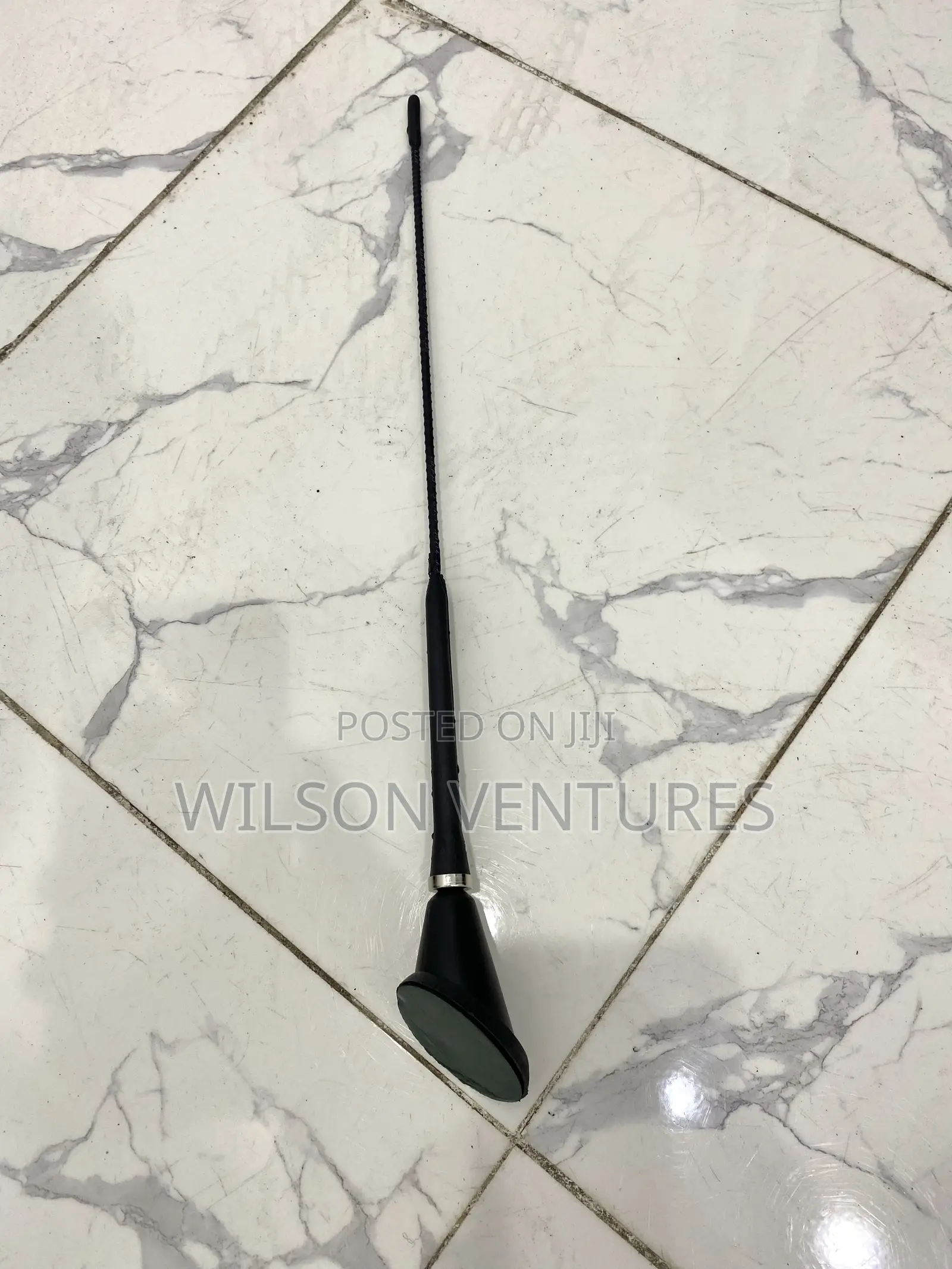 Decorative Car Antenna