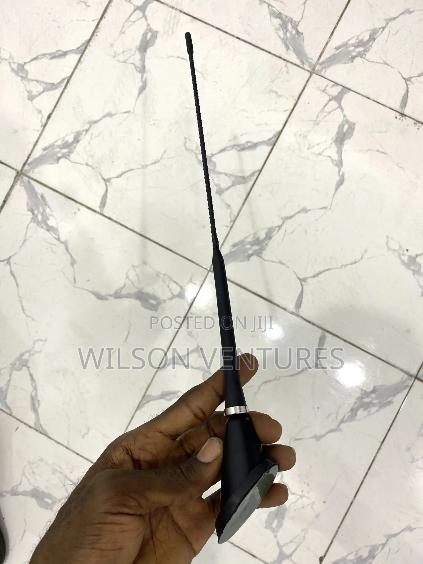 Decorative Car Antenna