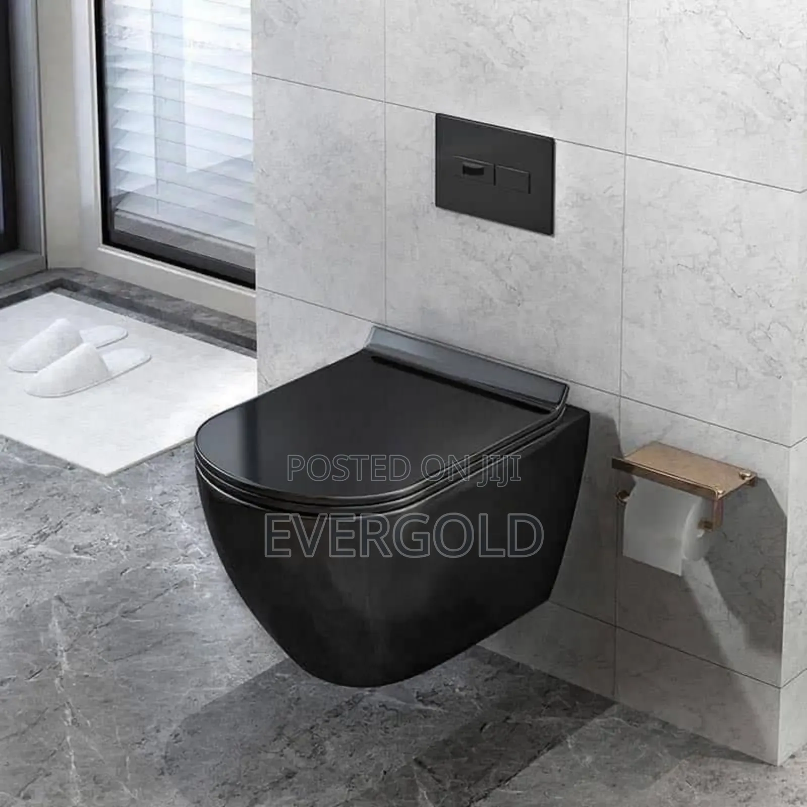 Conceal Water Closet Black Available With Accessorie