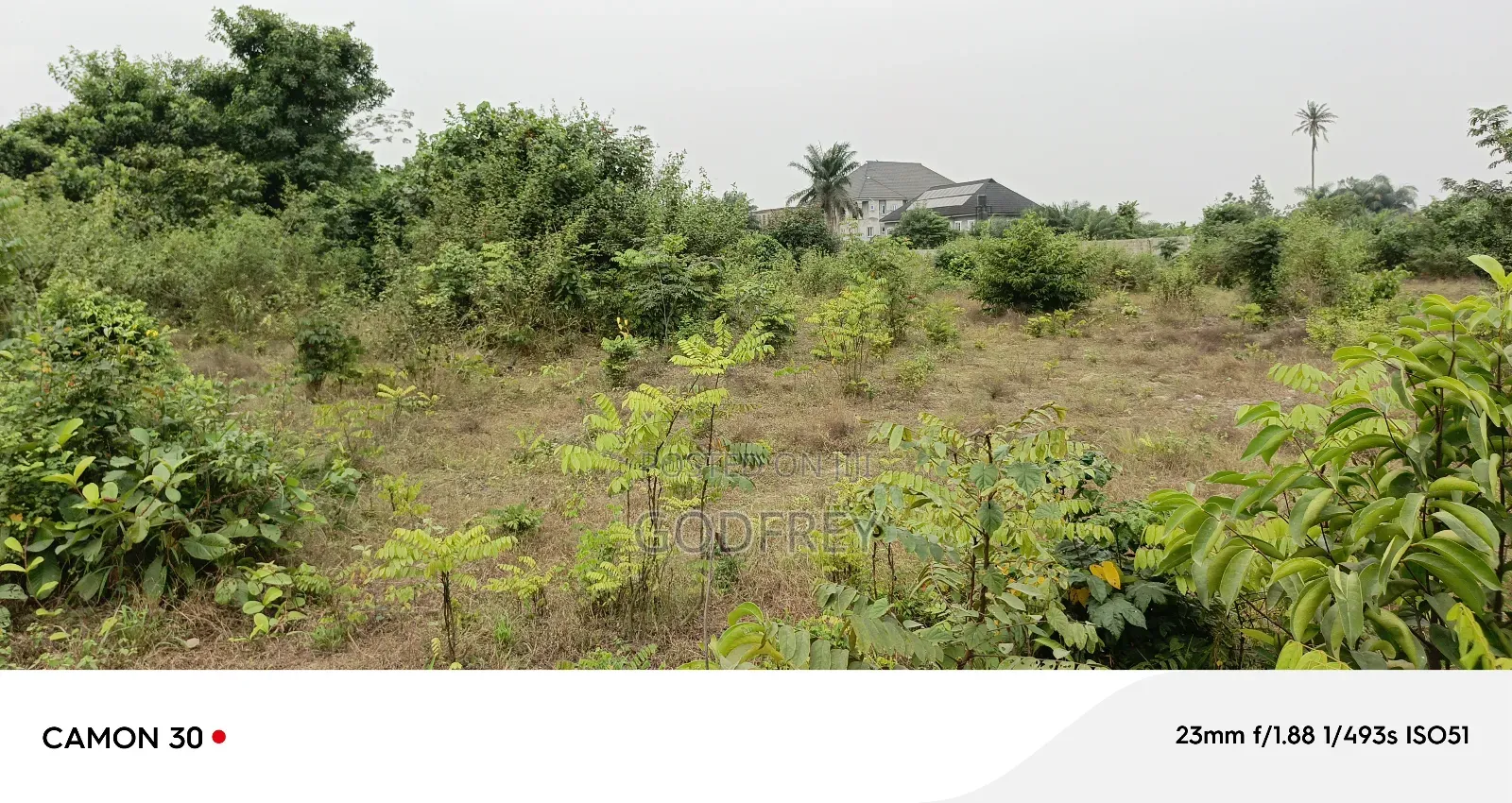 Landed Property