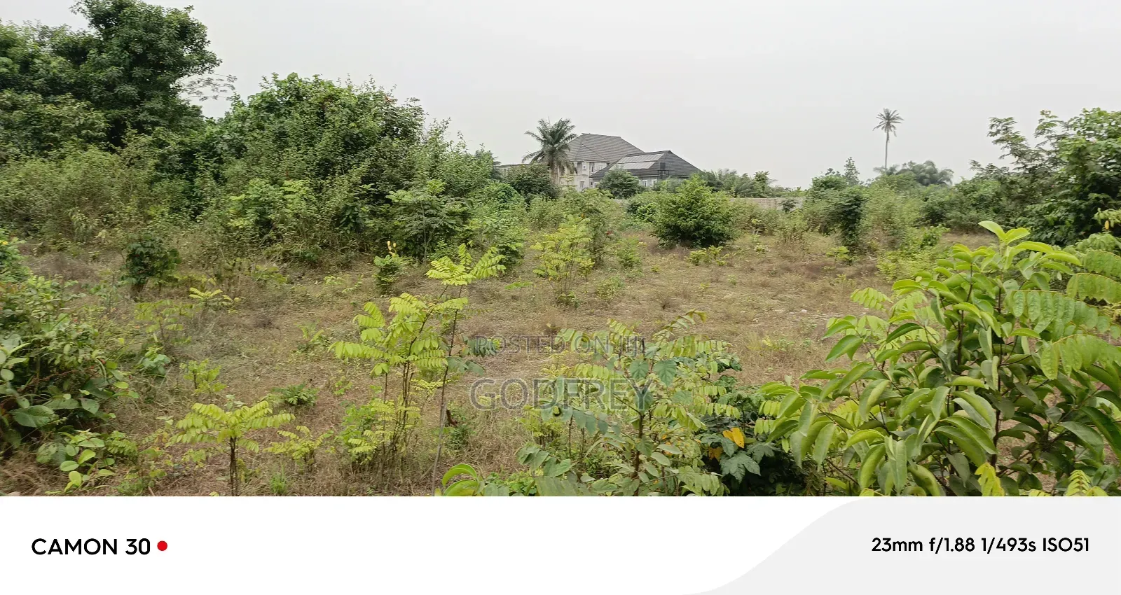 Landed Property
