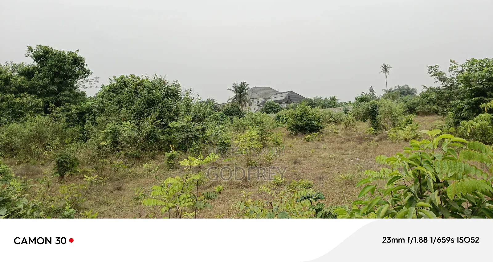 Landed Property