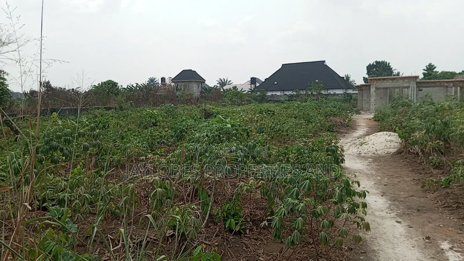 For Sale - 50 Plots Behind Omehia School, Igwuruta, PHC
