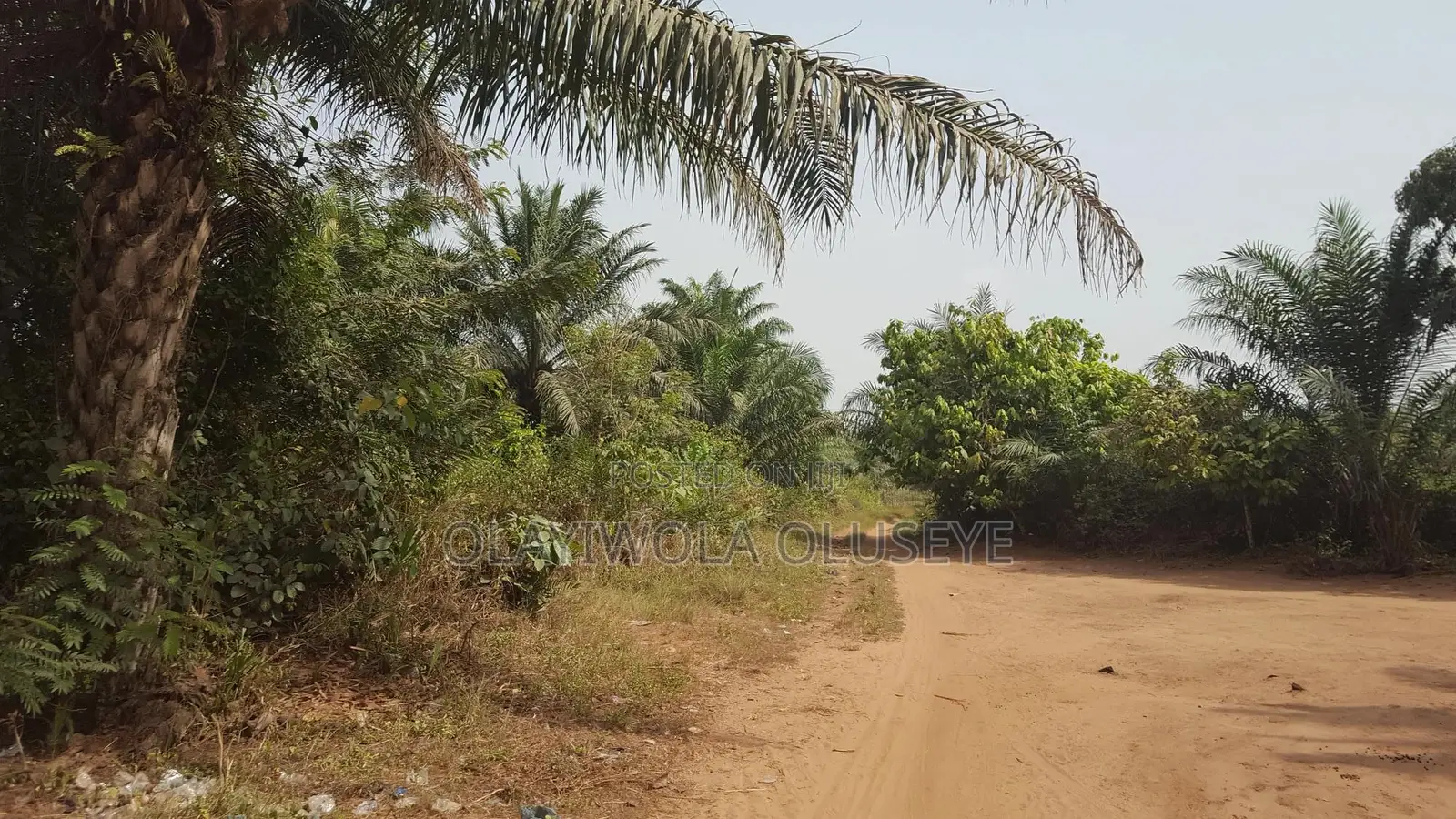 Agriculture and Farm Land for Sale in Ogun State ,Nigeria