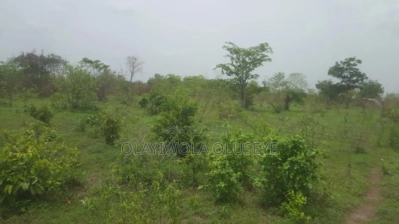 Agriculture and Farm Land for Sale in Ogun State ,Nigeria