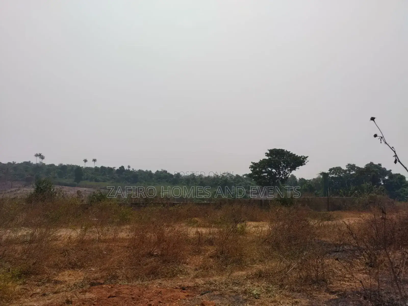 10,000 Acres of Land at Ajebo Opp Foursquare Camp Lagos Exp