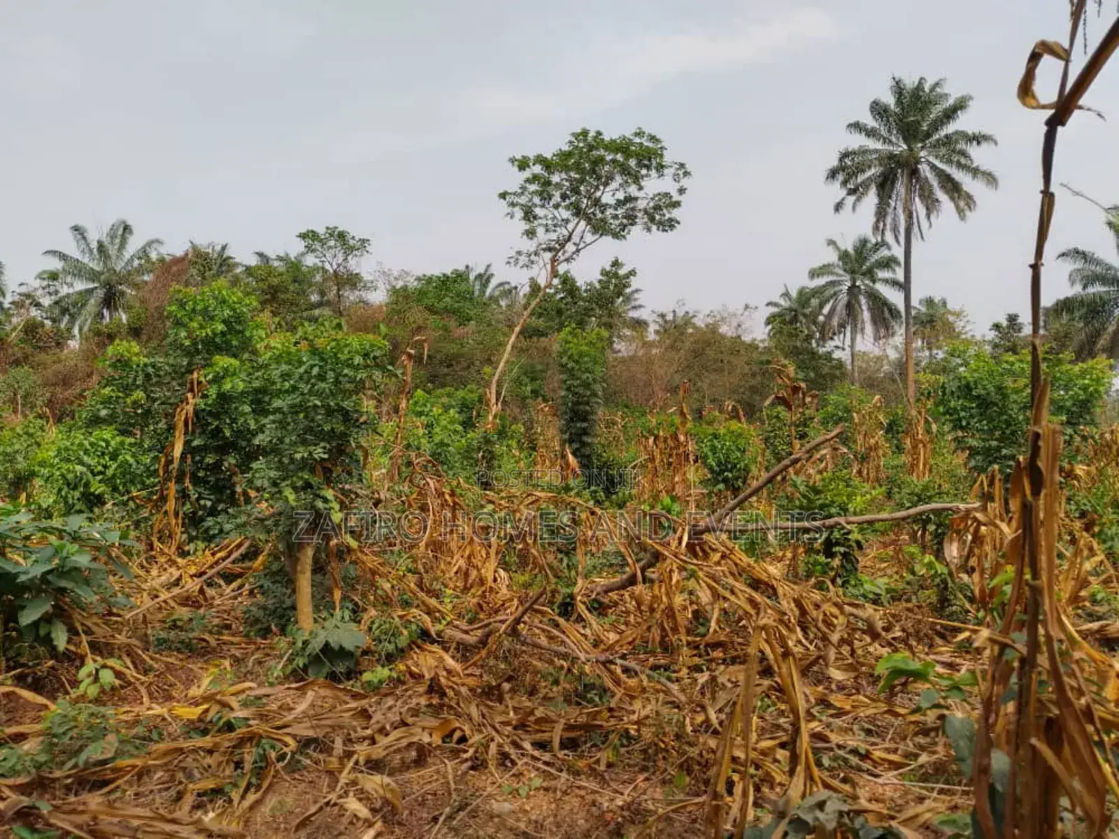 10 Acres of Fertile Farmland at Lagelu Secretariat Iyanaoffa