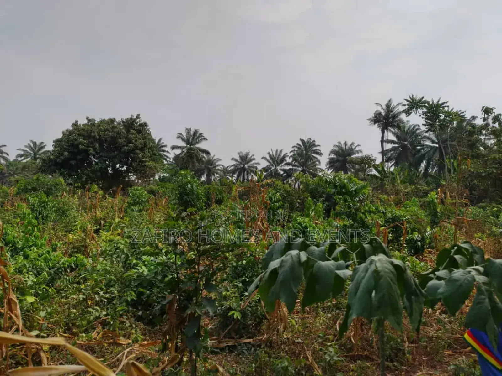 10 Acres of Fertile Farmland at Lagelu Secretariat Iyanaoffa