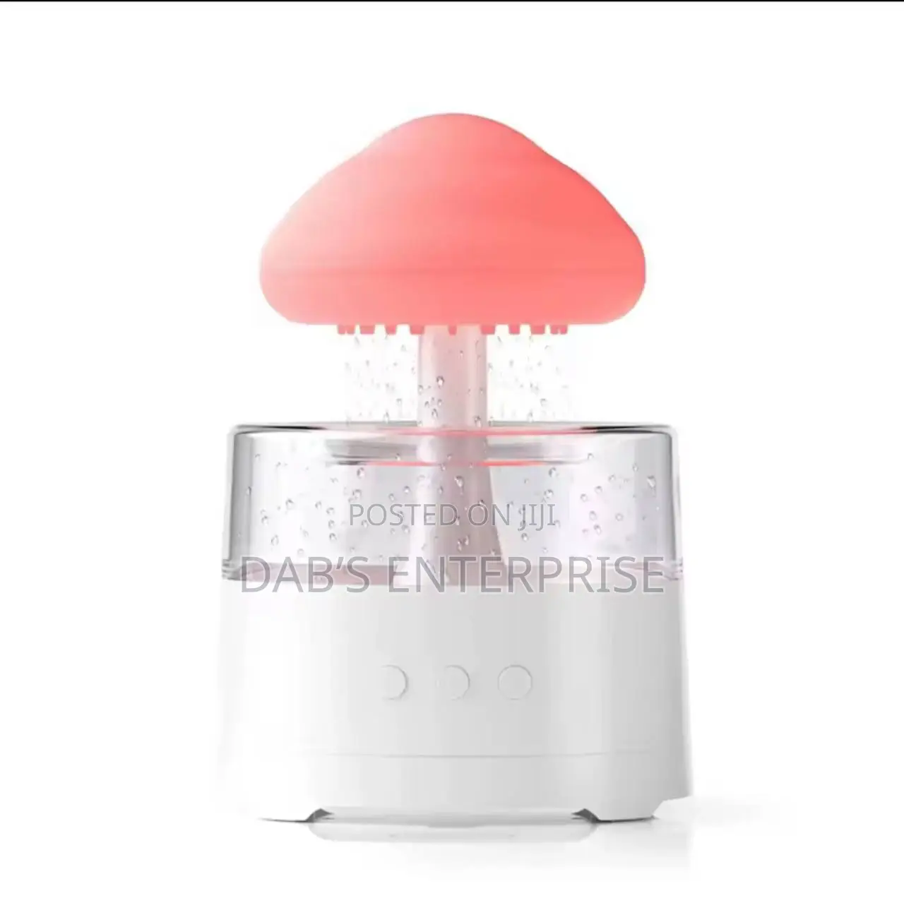 Rain Cloud Humidifier