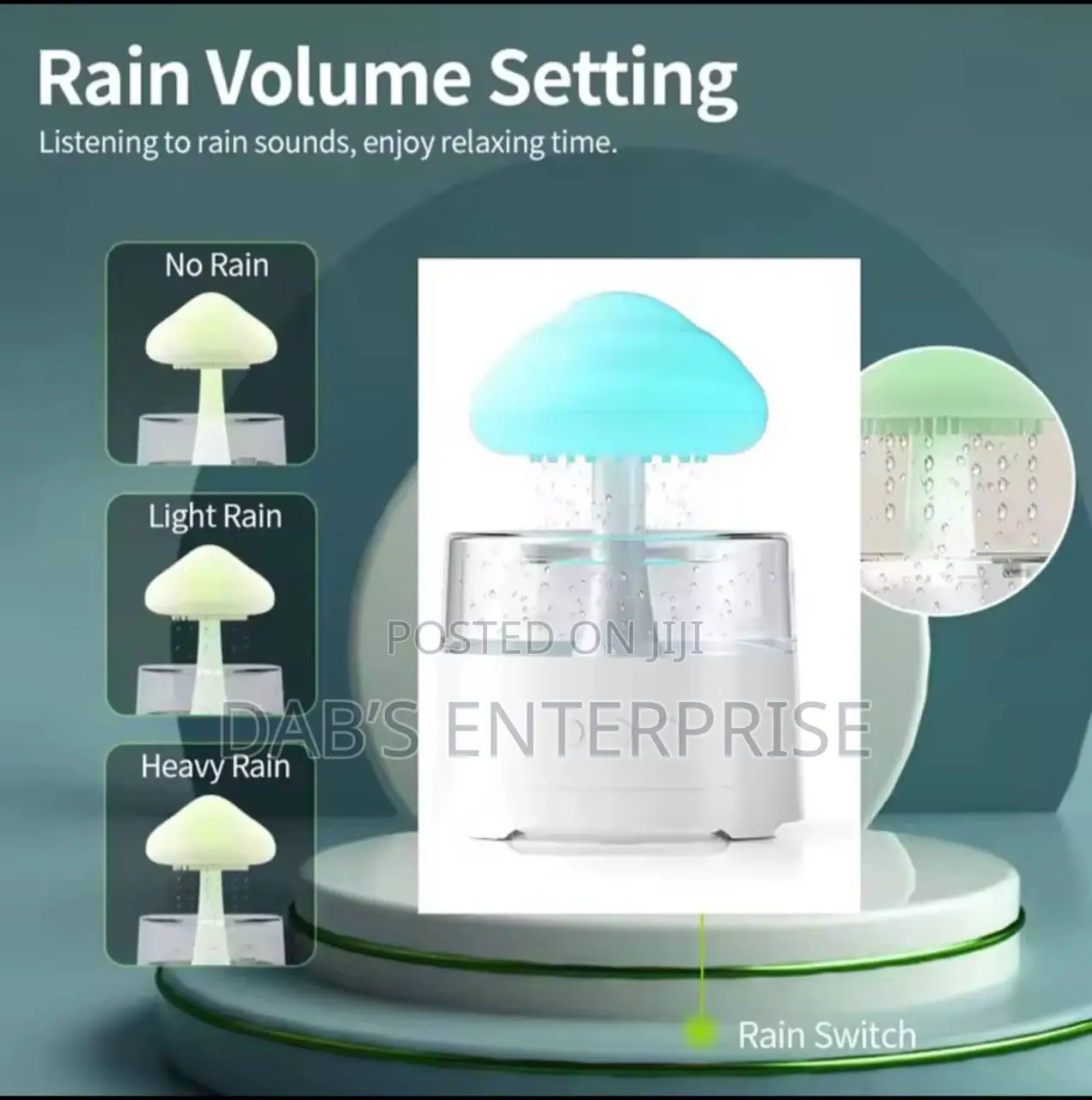 Rain Cloud Humidifier