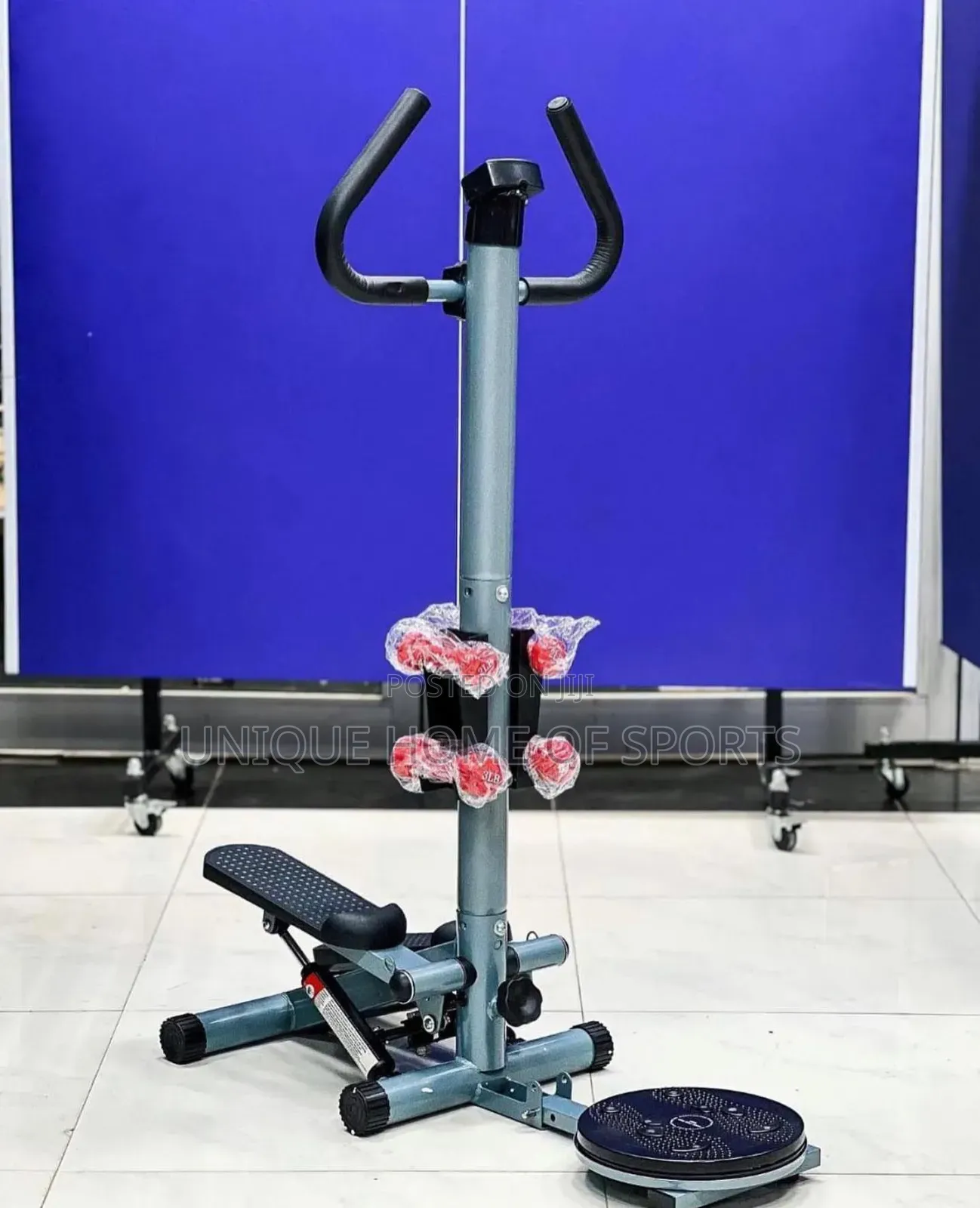 Standing Stepper With Dumbells And Twister