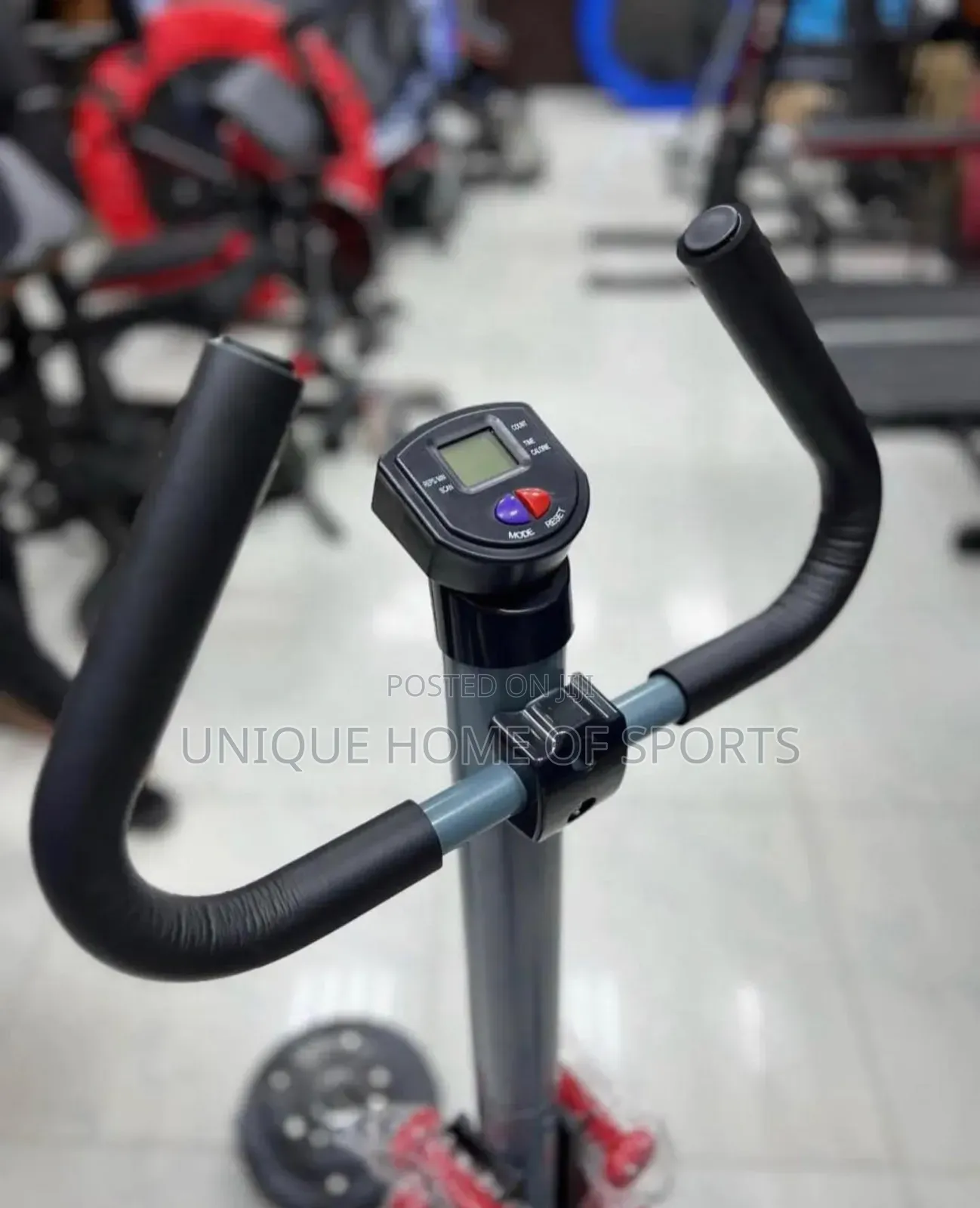 Standing Stepper With Dumbells And Twister