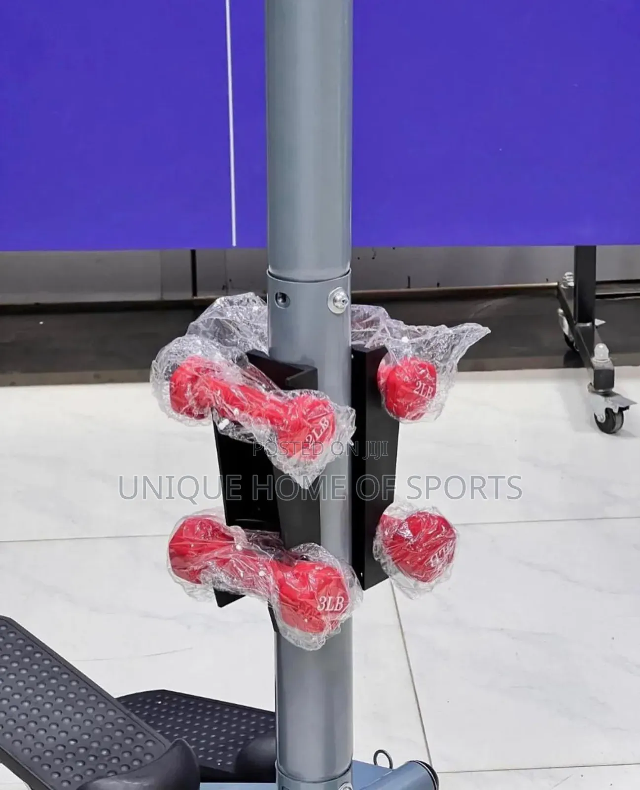 Standing Stepper With Dumbells And Twister