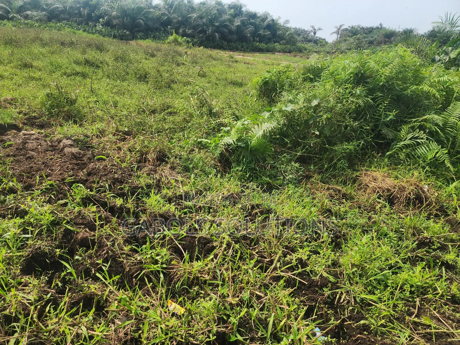 25 Acres For Sale Location Eleko Junction