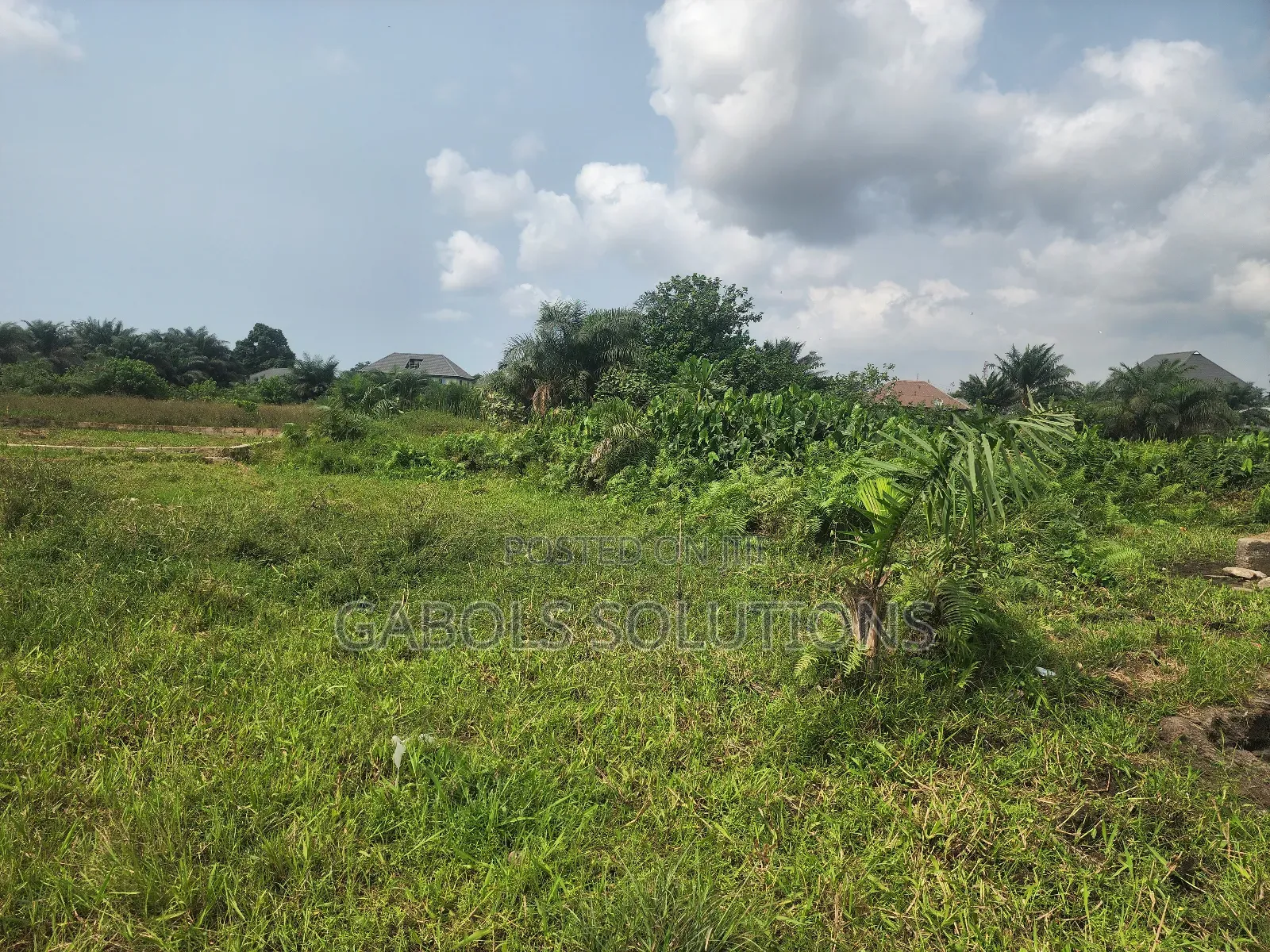 4 Plots in Jehovah Witness Road