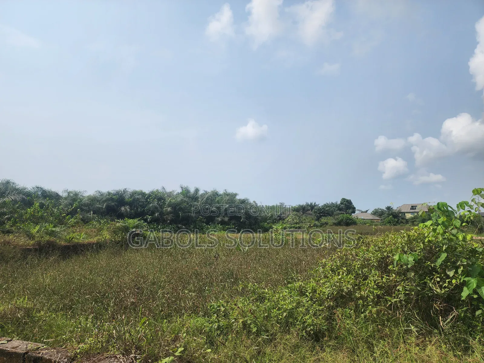 4 Plots in Jehovah Witness Road