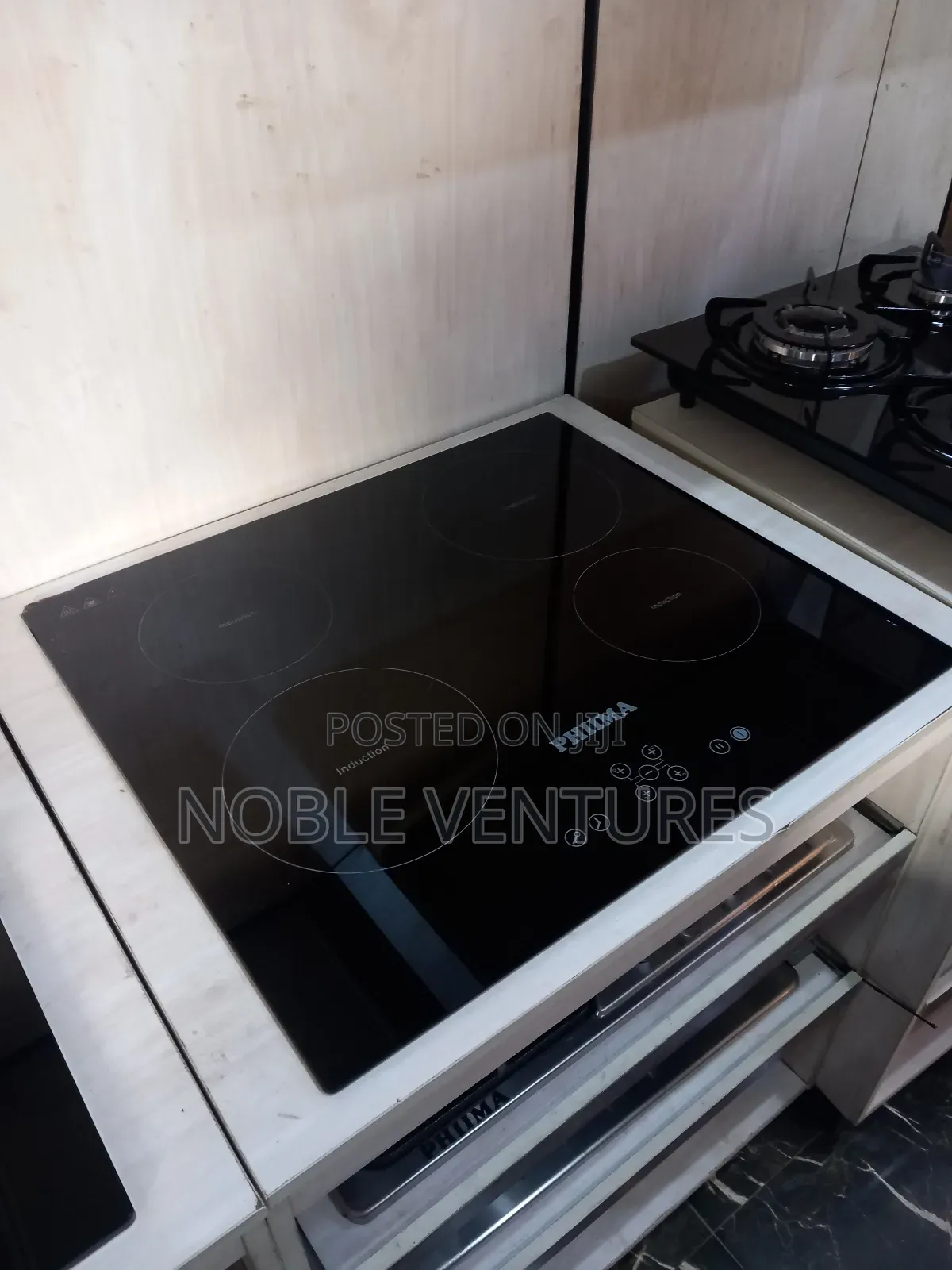 Original Phiima Inbuilt Electric Cooker 60cm 100%Copper