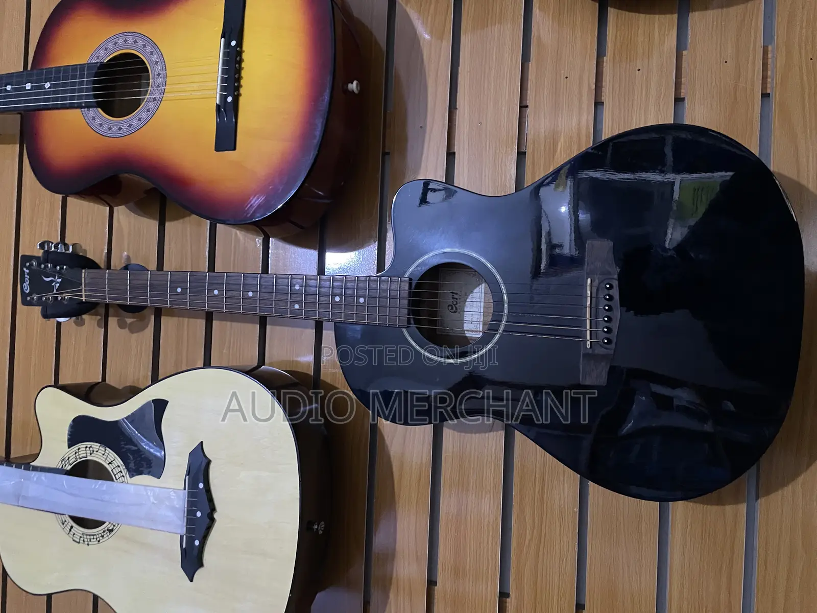 Cort Professional Acoustic Guitar