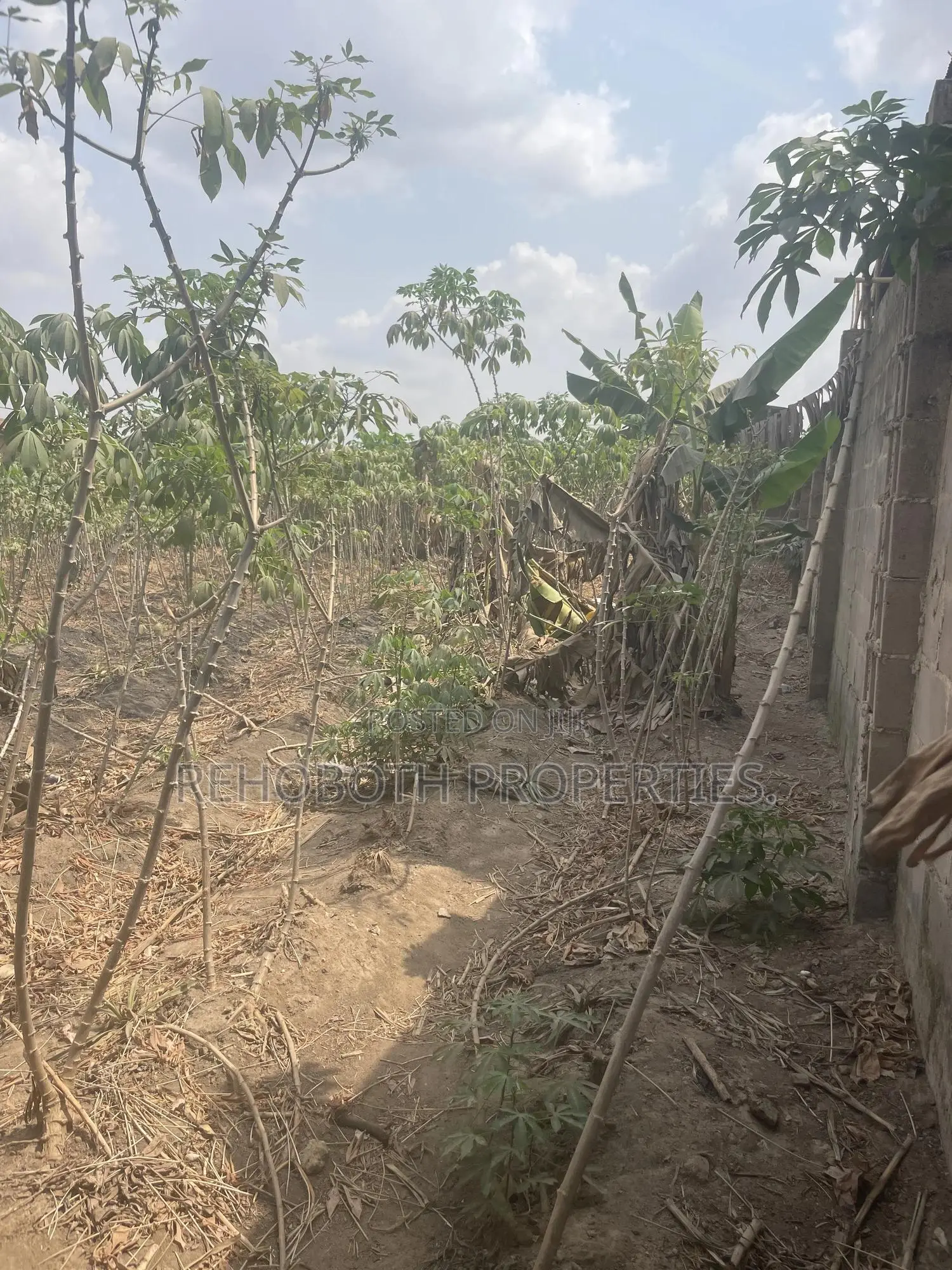 2plot Land 4sale at Jankata Akala Express