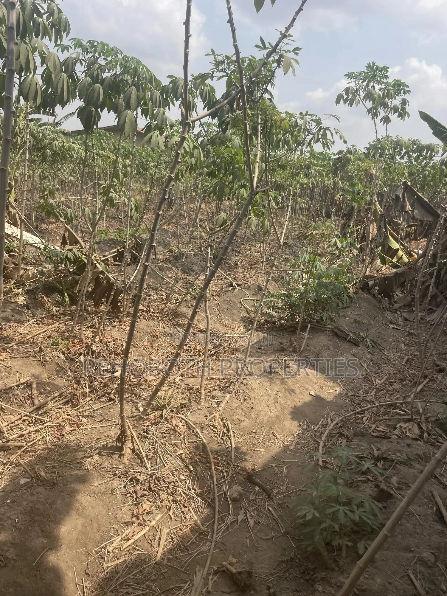 2plot Land 4sale at Jankata Akala Express