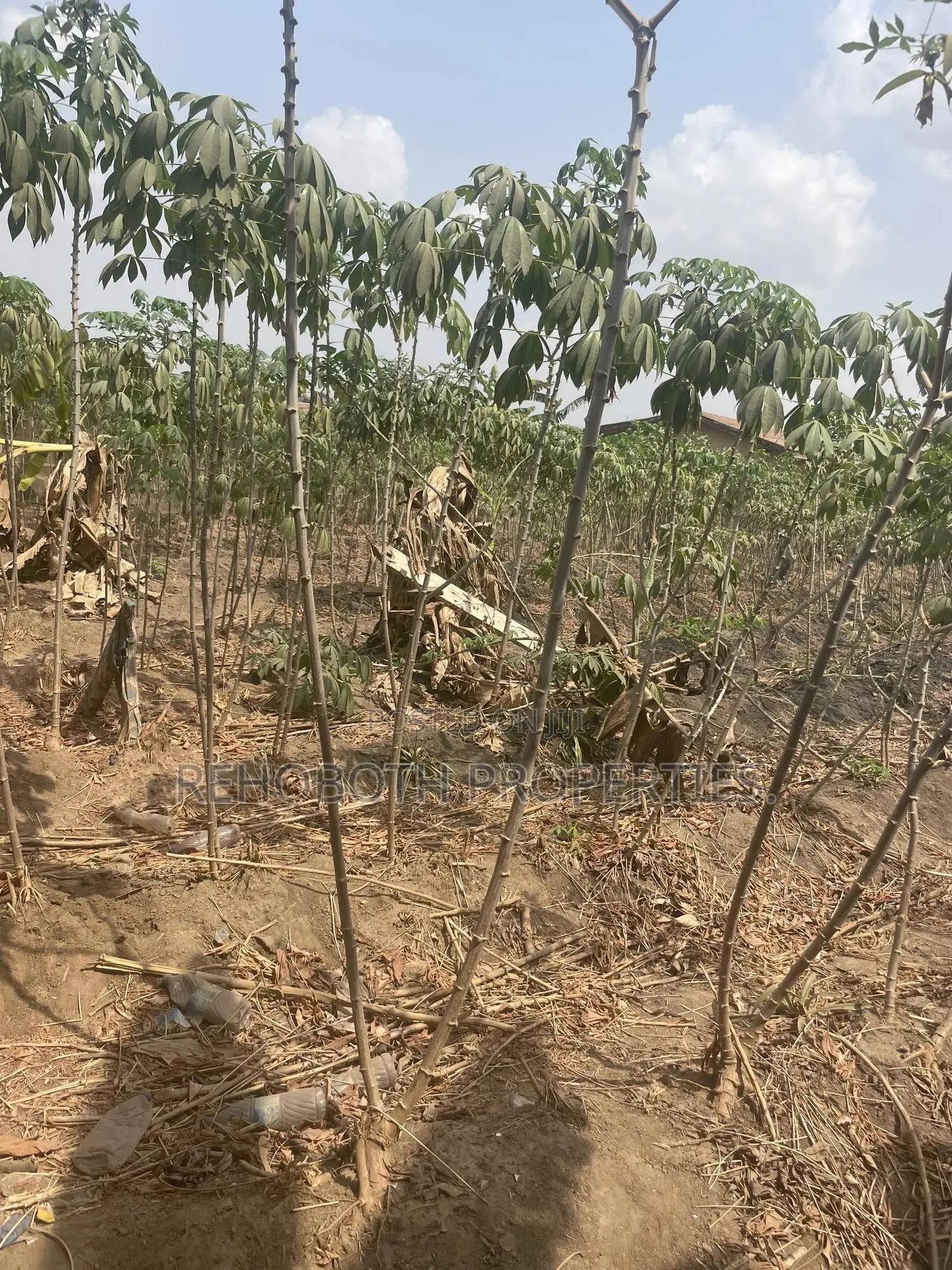 2plot Land 4sale at Jankata Akala Express