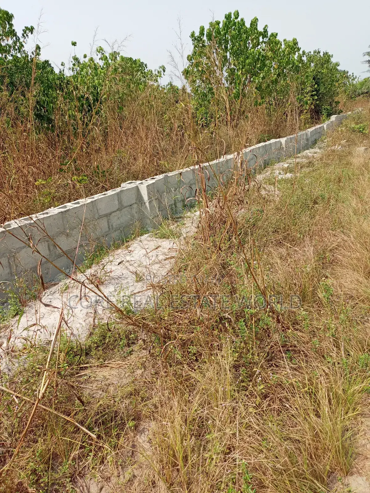 Obodo Amaka, Estate, Asaba, Delta State