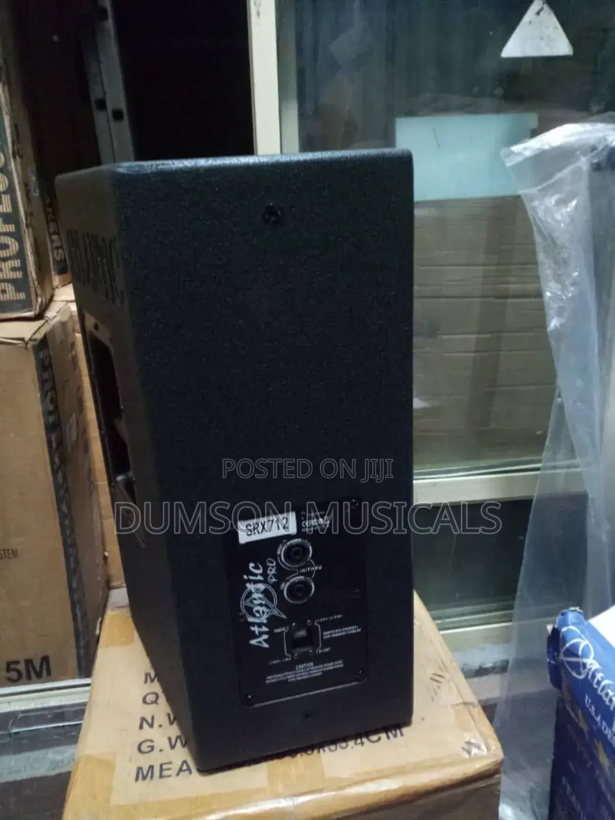Atlanta 12 Inches Hanging Speaker