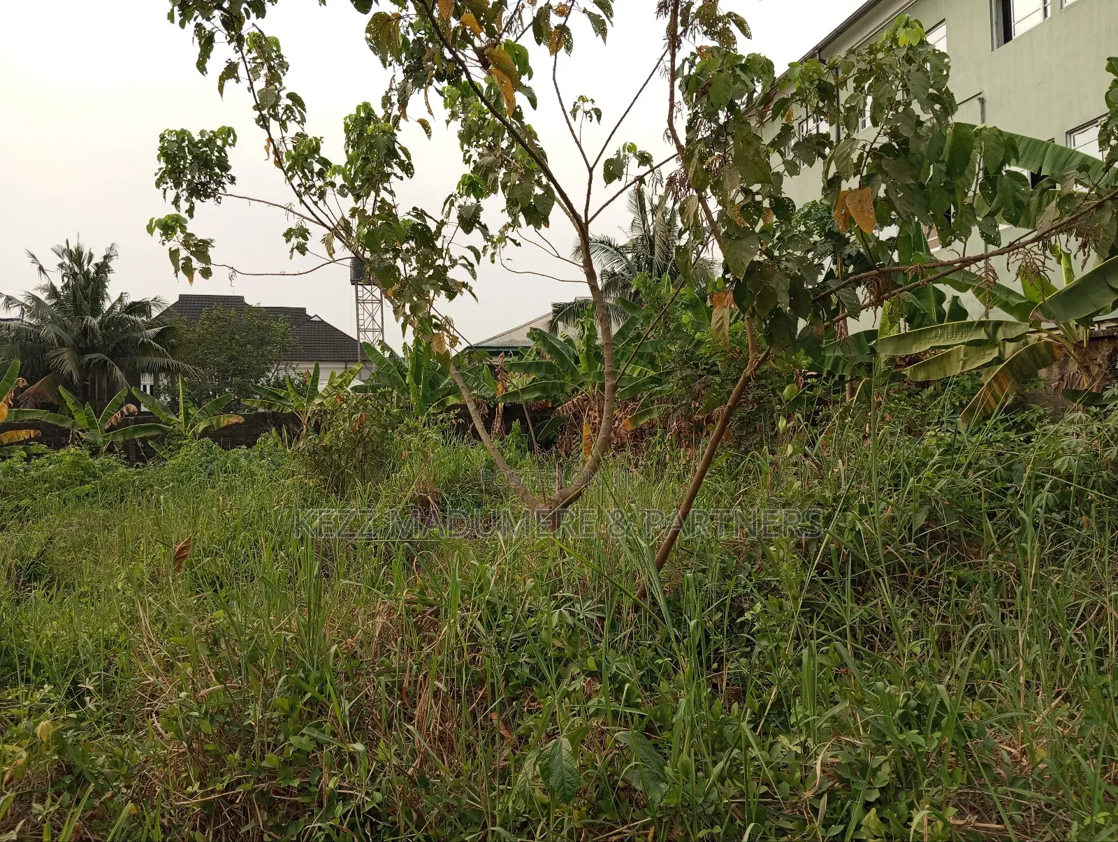 For Sale: 1 Cornerpiece Plot at Mandela Estate,Sars Road,Ph