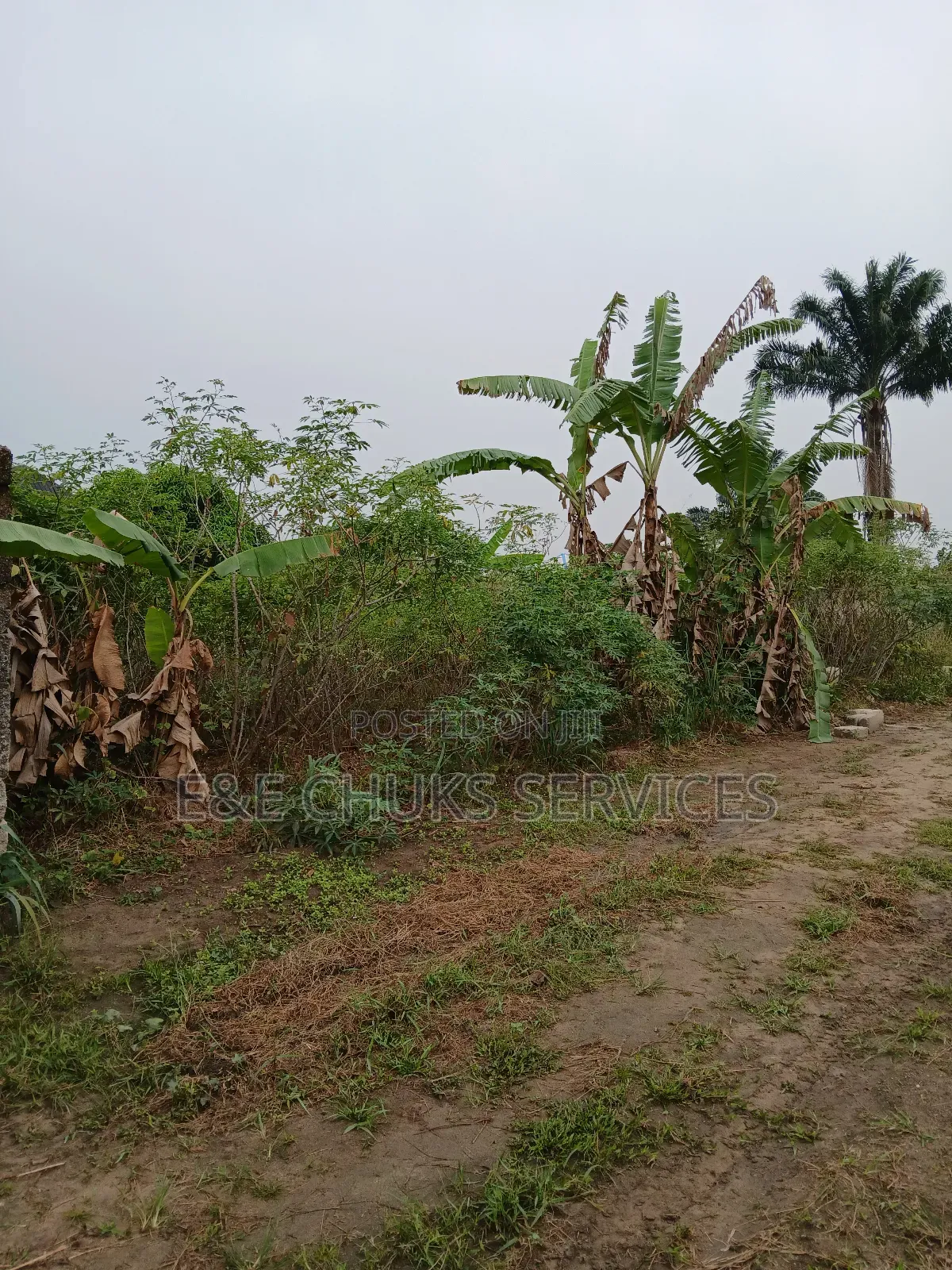 Buy and Build One and Half Plots for Sale at Eneka