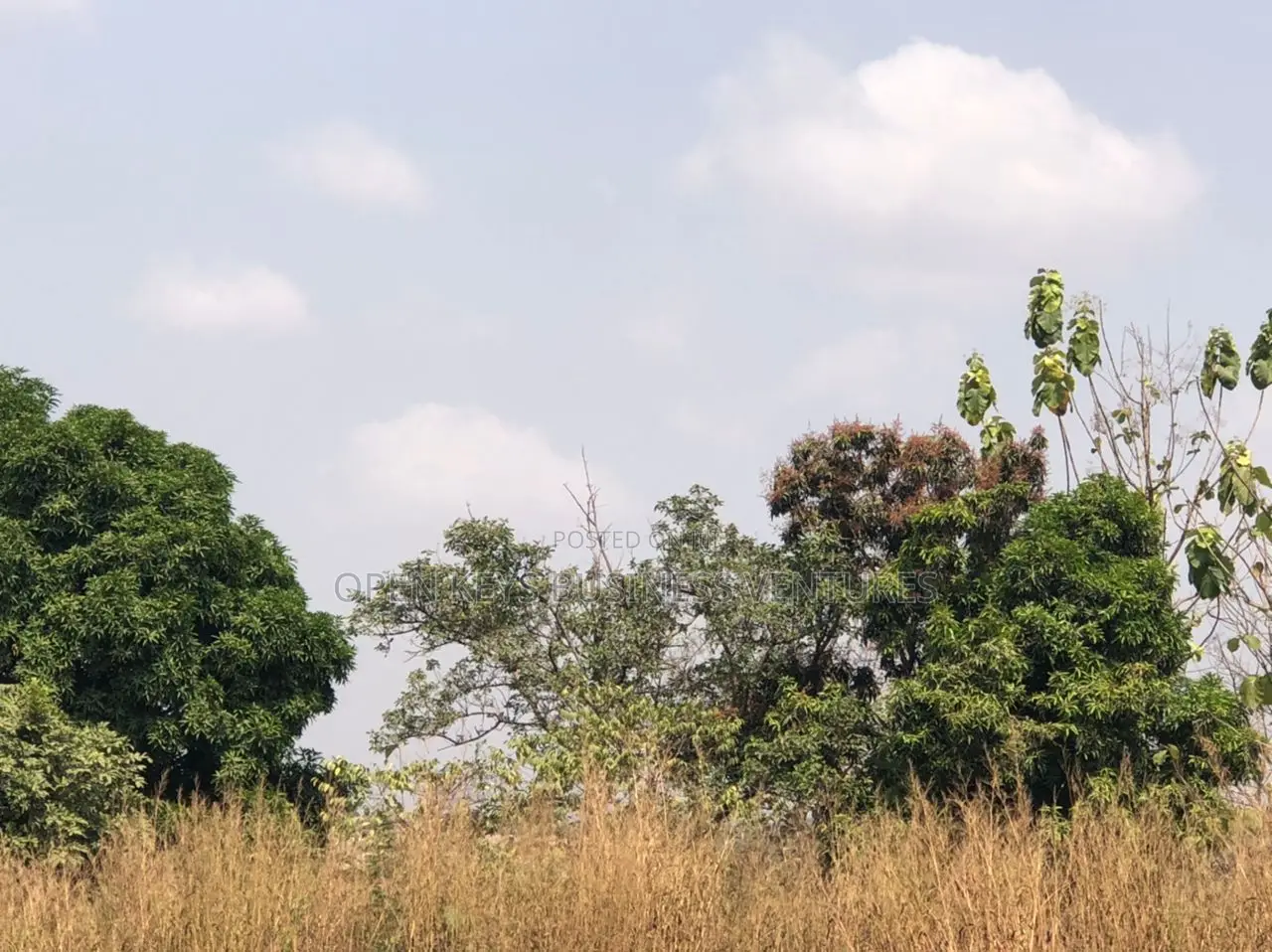 450sqm Hostel Land