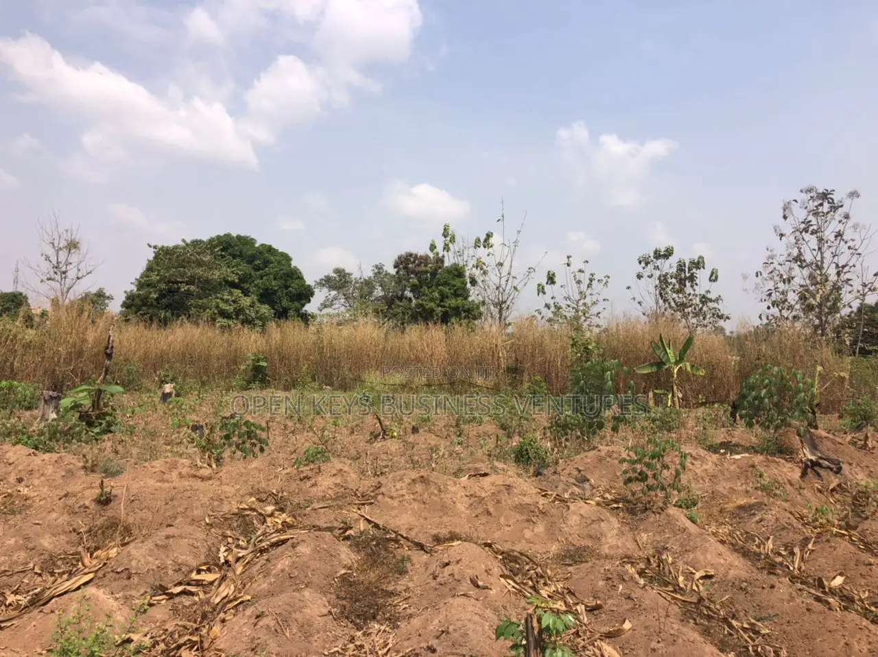 450sqm Hostel Land