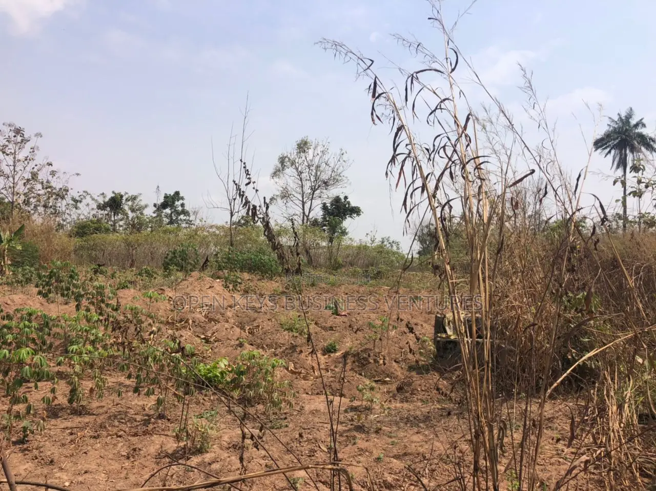 450sqm Hostel Land
