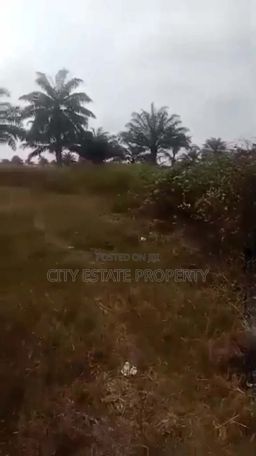 Land for Sale at Omagwa