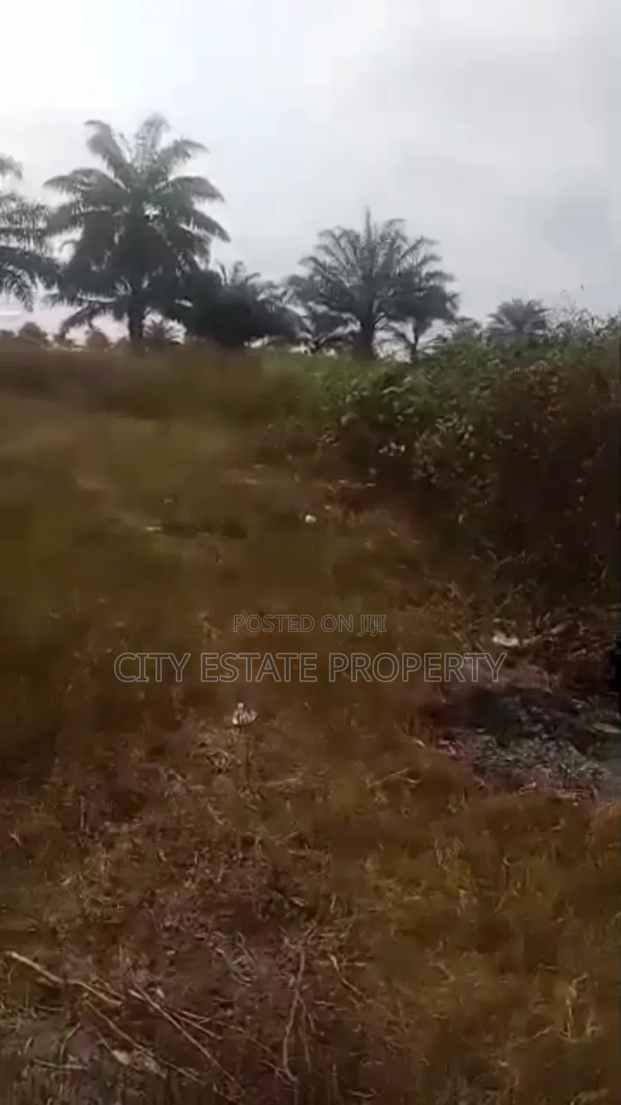 Land for Sale at Omagwa
