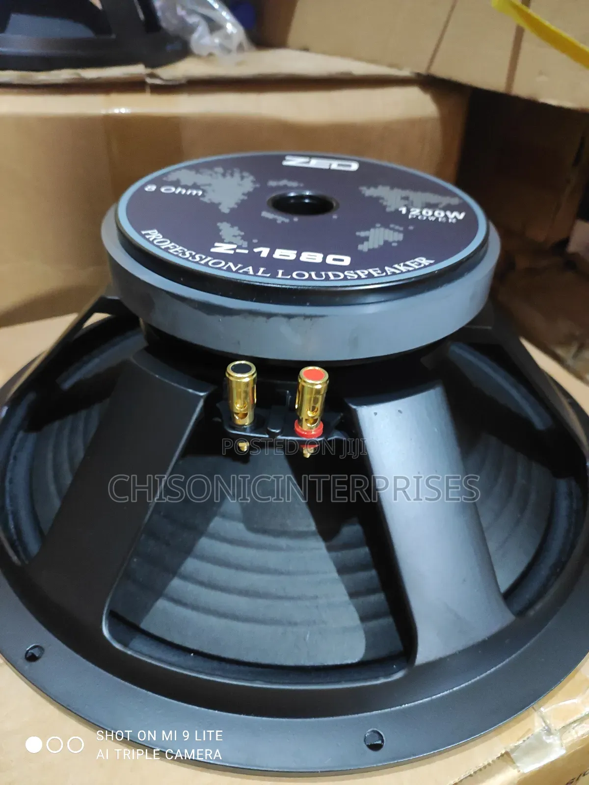 Zed Z-1580 Naked Woofer