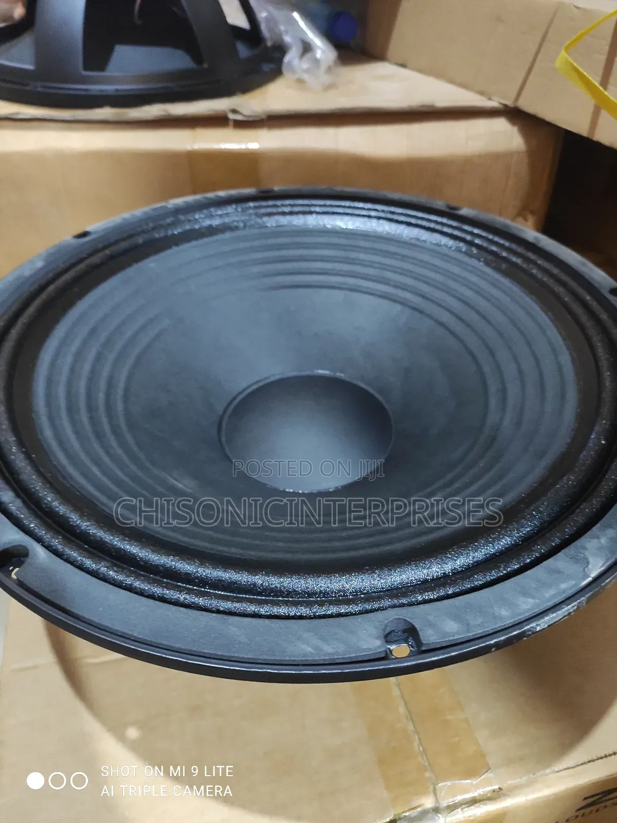 Zed Z-1580 Naked Woofer