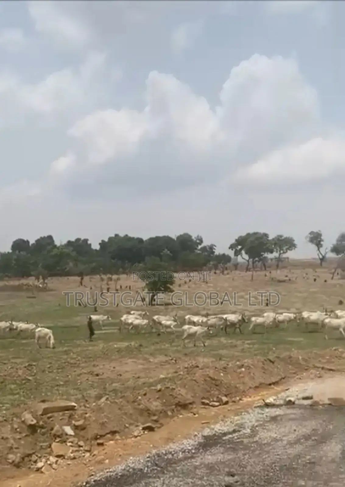 Land for Sale