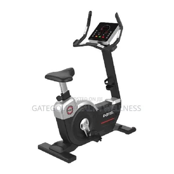 Upright Bike (DHZ Brand) A5200