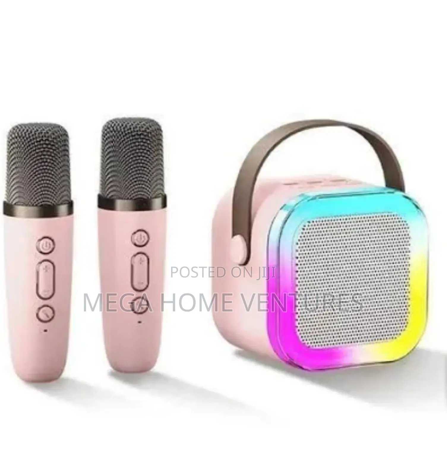 Colourful Karaoke Speaker