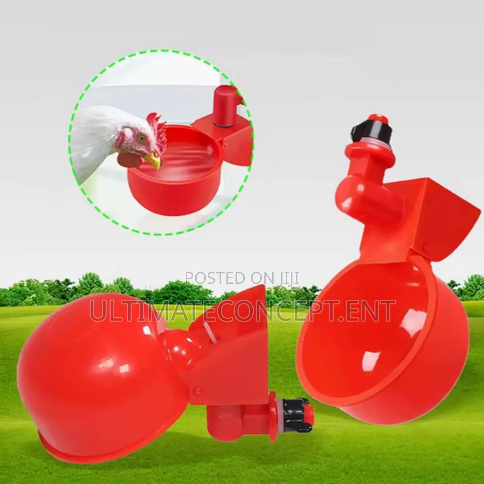 Chicken Automatic Drinker Cup