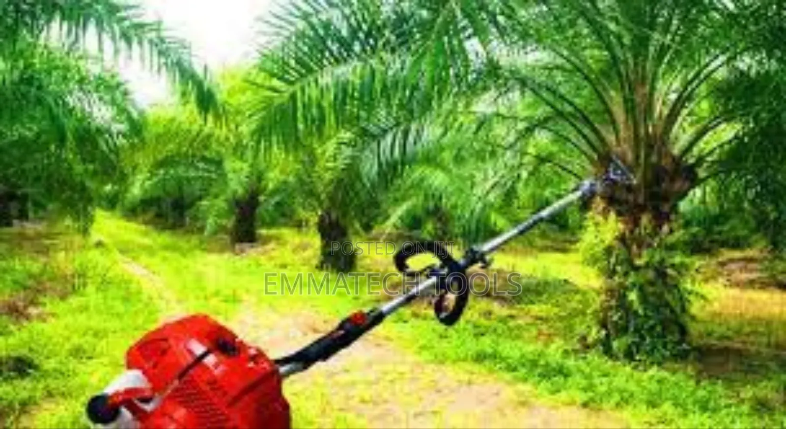 Palm Harvester Machine