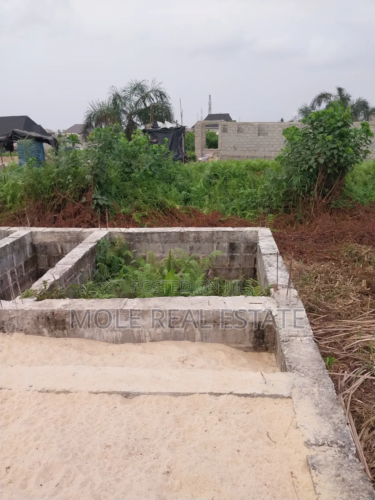 30ft by 60ft Quater Plot Ijegun Festac Lasu Link Ojo Lagos