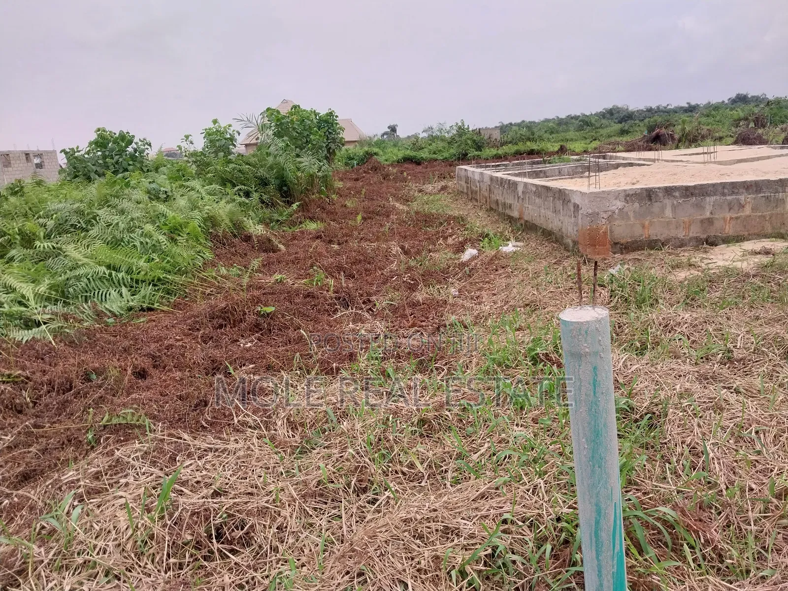 30ft by 120ft Half Plot Ijegun Festac New Link Ojo Lca Lagos