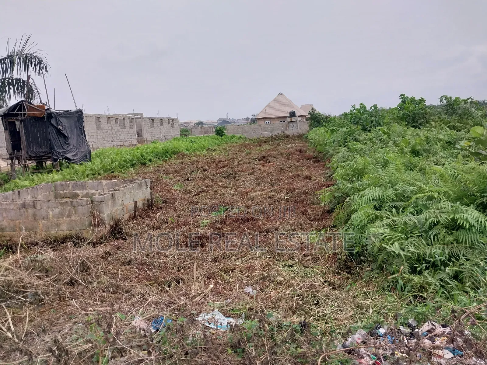 30ft by 120ft Half Plot Ijegun Festac New Link Ojo Lca Lagos