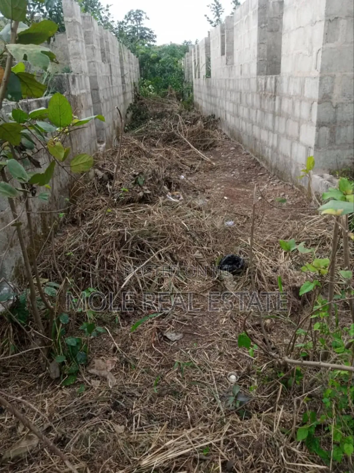 Full Plot With 6 Rooms and Parlours Lintel Atan Ogun State