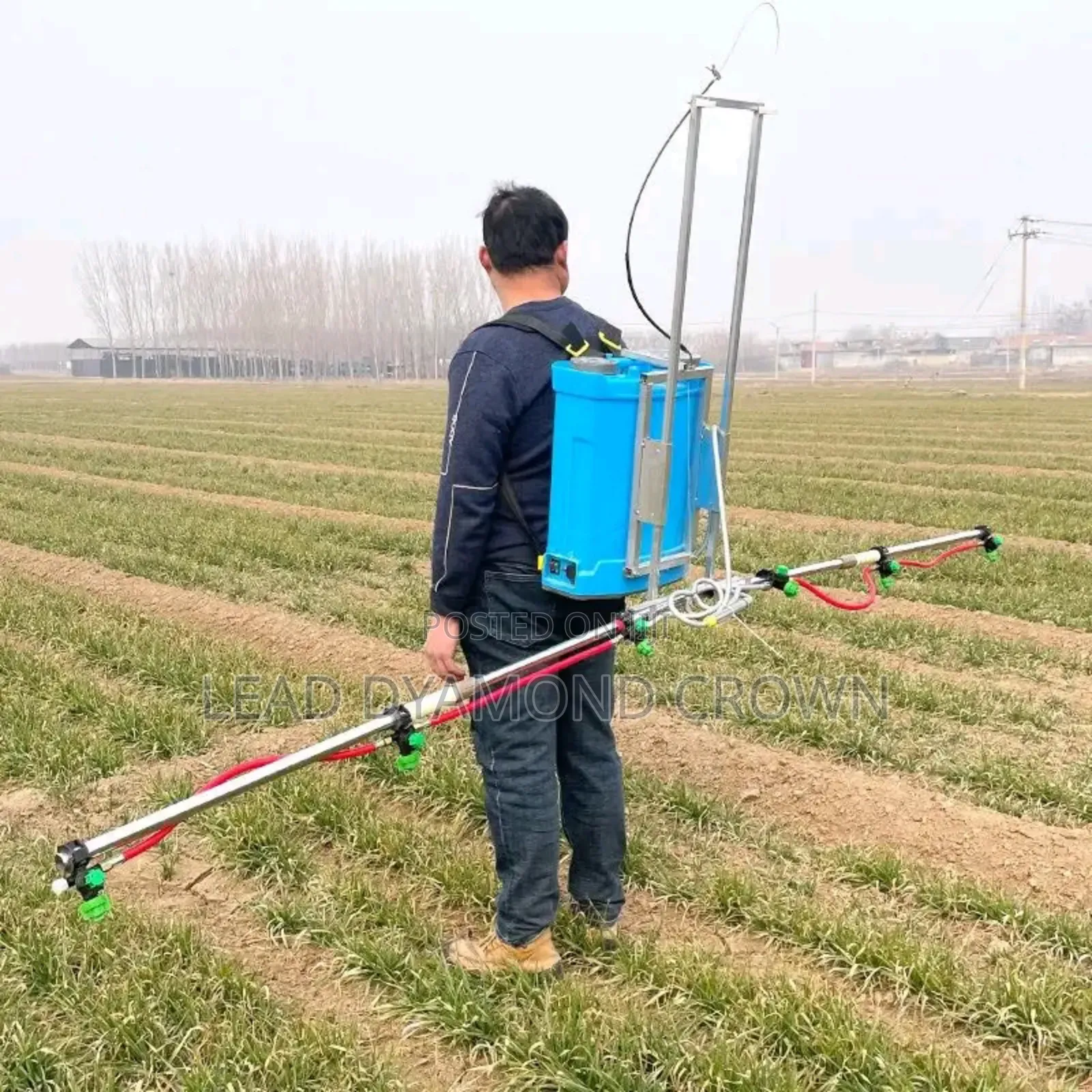 Rechargeable Sprayer With Extended Poles