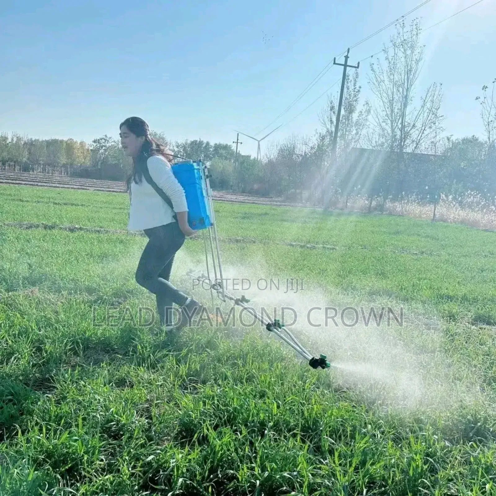 Rechargeable Sprayer With Extended Poles
