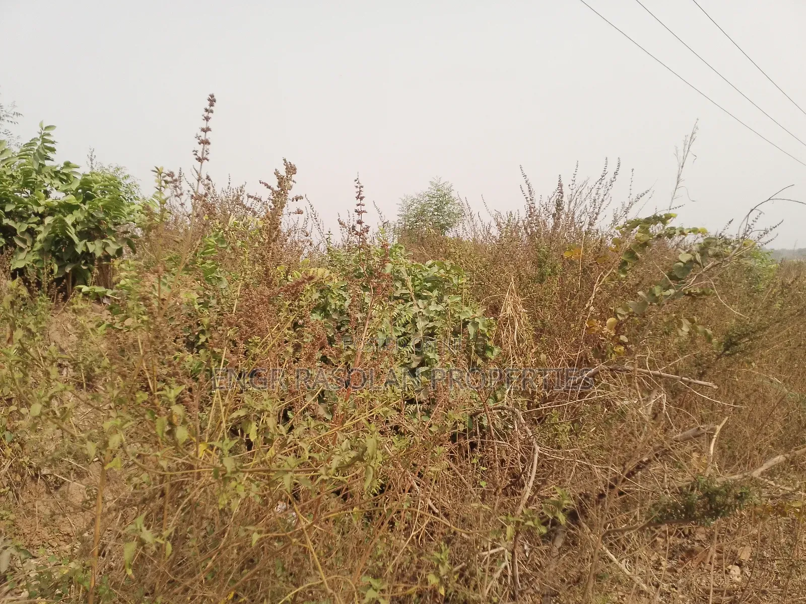 For Sale 20 Plots of Land