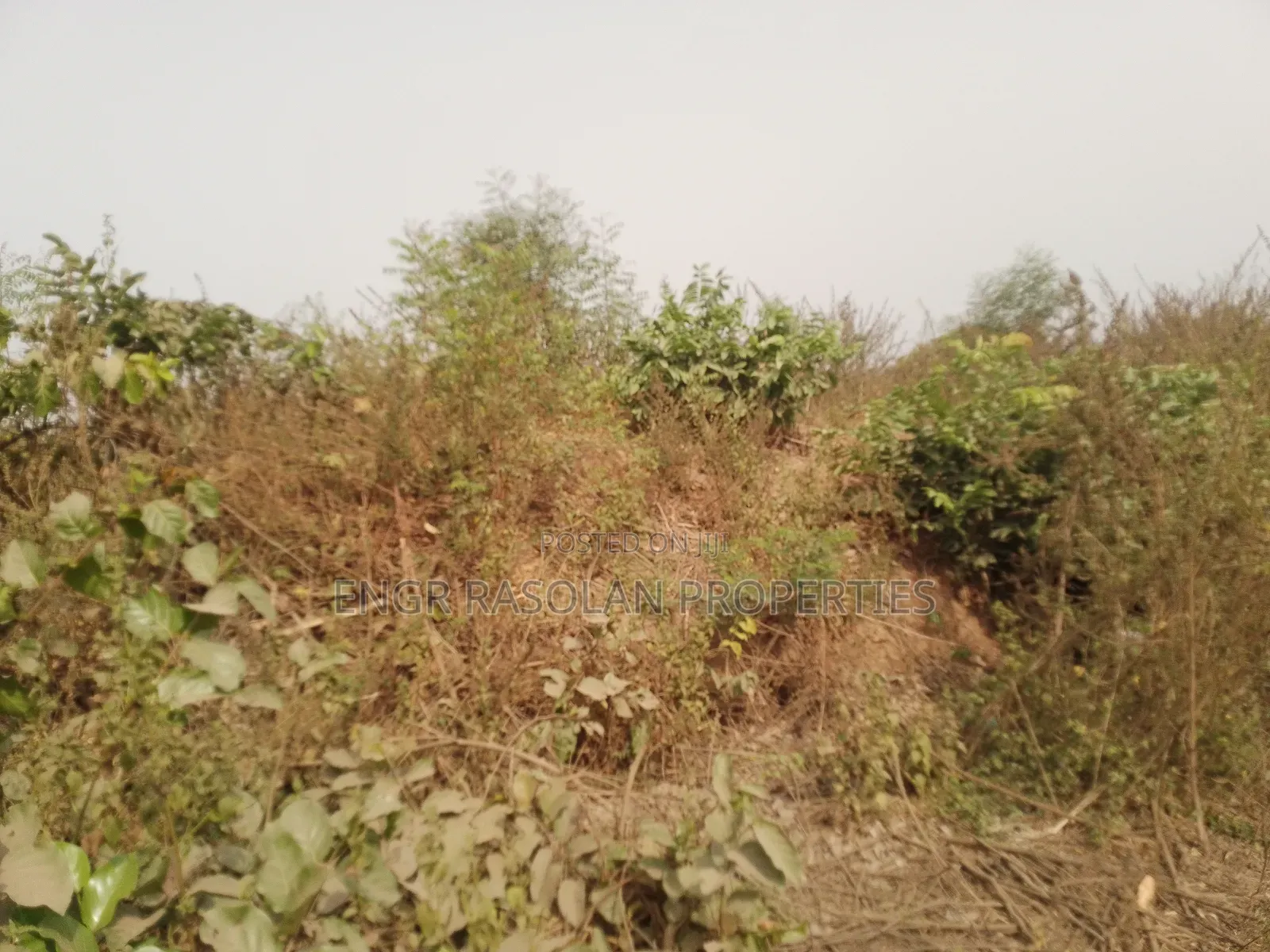 For Sale 20 Plots of Land