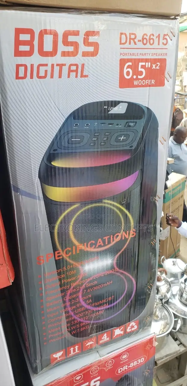Portable Indoor/Outdoor Party Speaker